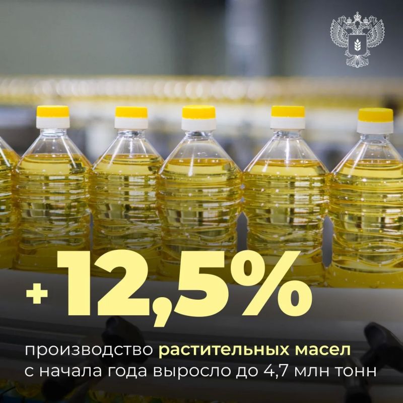 Россия нарастила производство и экспорт растительных масел