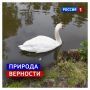 8 июля, среда. Сегодня День семьи, любви и верности