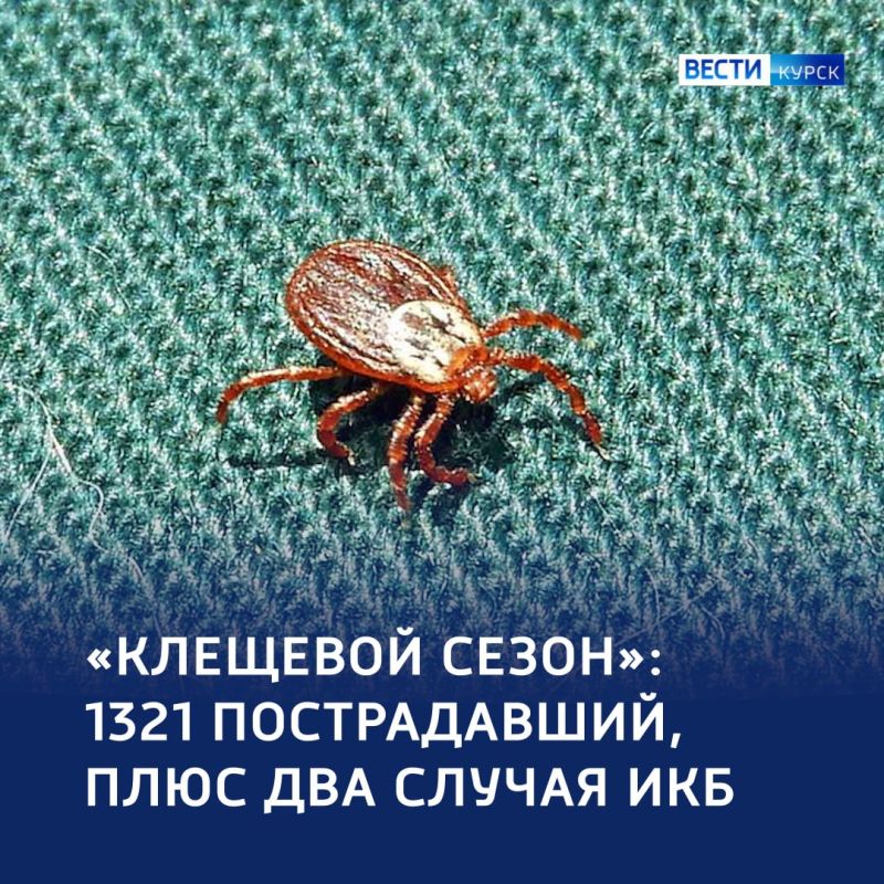 1234 Ползучая угроза: 1321 пострадавший от укусов клещей