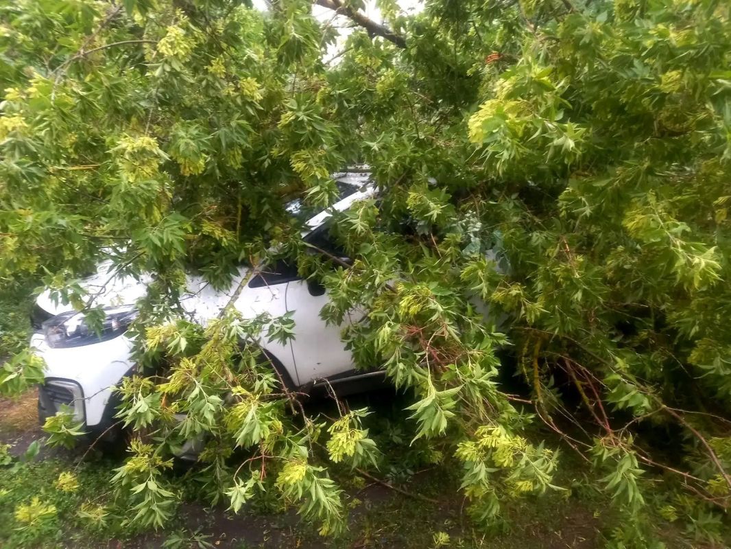 В Курске ликвидировали последствия непогоды В Курске ликвидировали последствия непогоды