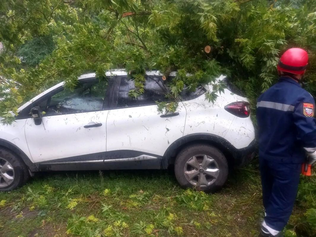 В Курске ликвидировали последствия непогоды В Курске ликвидировали последствия непогоды