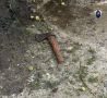 В Курском районе возбуждено уголовное дело по факту покушения на убийство