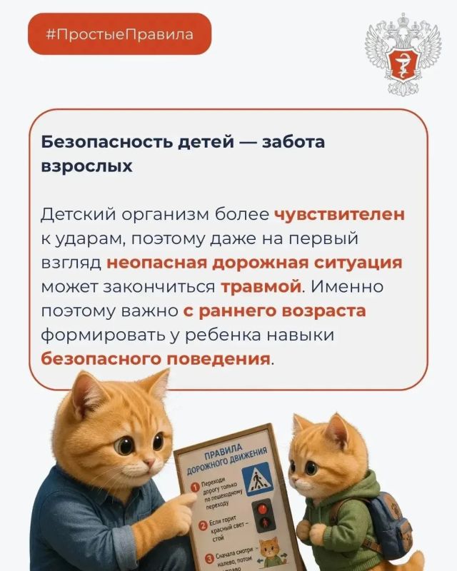#ПростыеПравила: Как избежать травм на дорогах? #ПростыеПравила: Как избежать травм на дорогах?