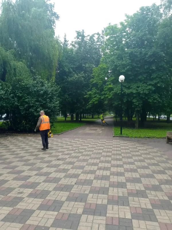 Из парков и скверов Курска вывезли более 60 кубических метров мусора Из парков и скверов Курска вывезли более 60 кубических метров мусора