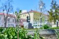 Куряне жалуются на засохшую сирень сквере «Спутник»