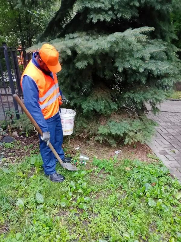 Из парков и скверов Курска вывезли более 60 кубических метров мусора Из парков и скверов Курска вывезли более 60 кубических метров мусора