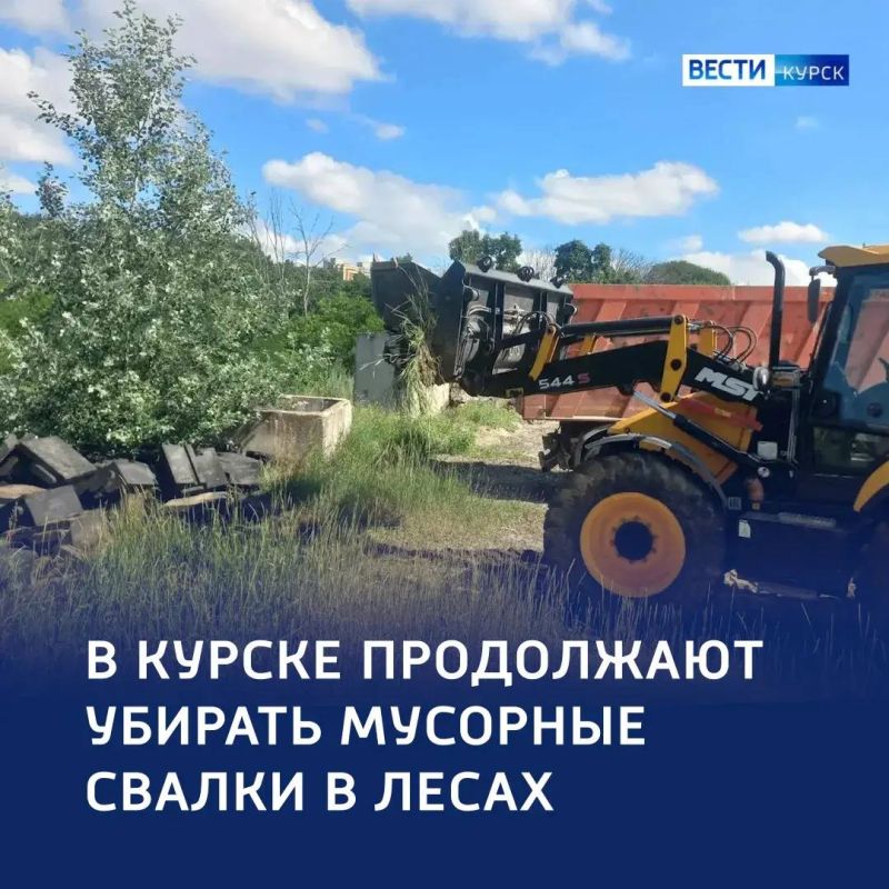 Генеральная уборка: из лесов Курска вывезли тонны мусора