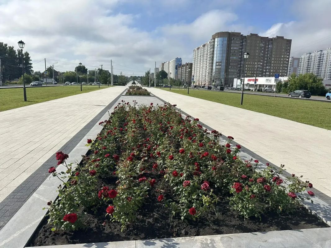 В Курске парке «Патриот» скосили траву и обрезали розы