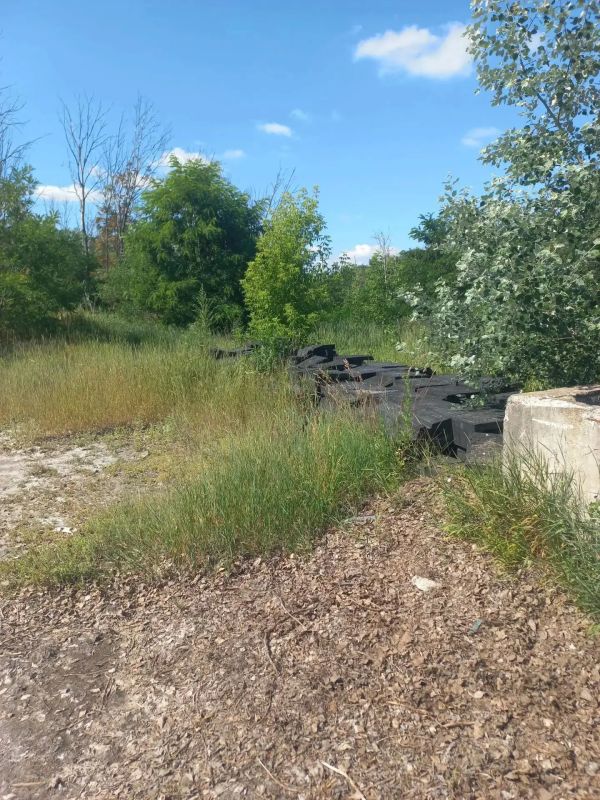 В Курске продолжают бороться с несанкционированными свалками, в том числе на территории лесов, находящихся в границах областного центра В Курске продолжают бороться с несанкционированными свалками, в том числе на территории лесов, находящихся в границах областного центра