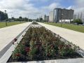 В Курске парке «Патриот» скосили траву и обрезали розы
