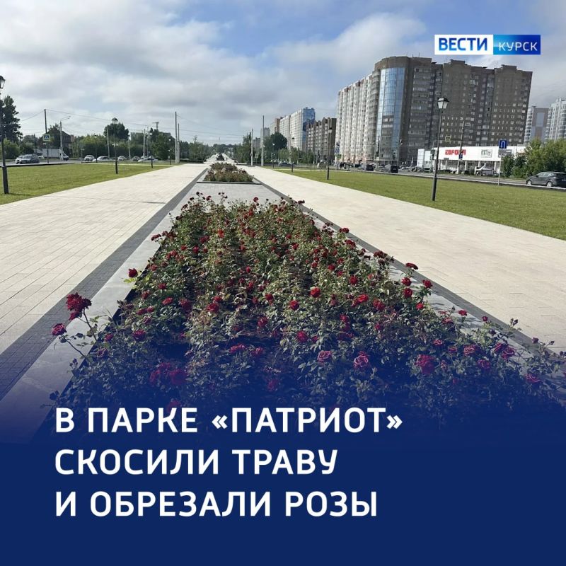 Цветет и пахнет: в парке «Патриот» ухаживают за клумбами