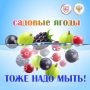 14 июля - День смородины. Именно в середине июля созревает одна из самых популярных летних ягод
