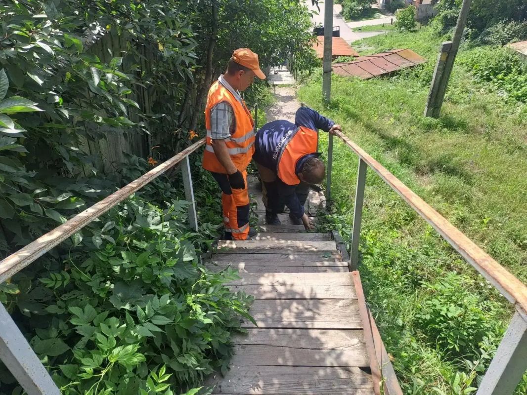 В Курске на улице Бочарова восстановят лестницу и покосят траву В Курске на улице Бочарова восстановят лестницу и покосят траву