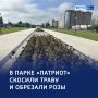 Цветет и пахнет: в парке «Патриот» ухаживают за клумбами