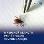 ������ �����: 1371 ������������ �� ������ ������