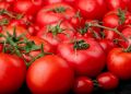 Как сохранить вкусные томаты на долгое время: простые советы