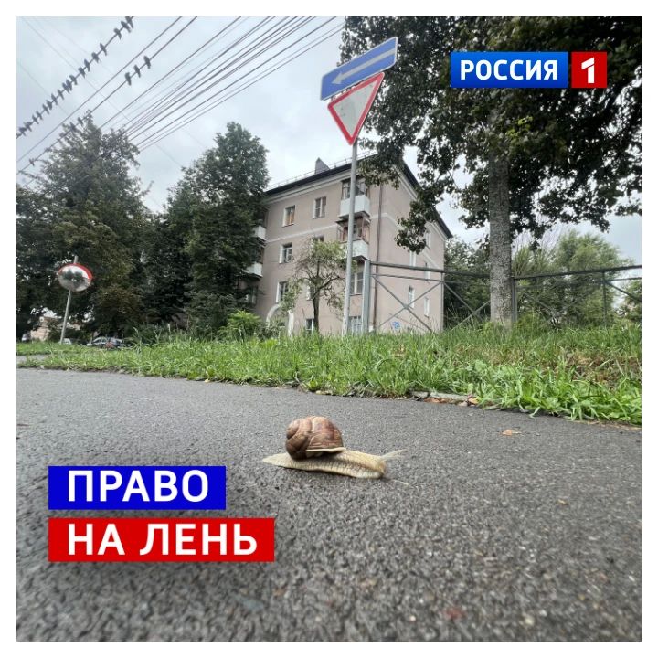 15 июля, среда. Сегодня День русской лени