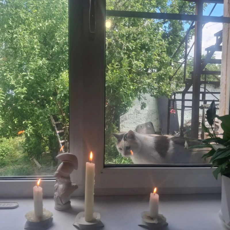 В Курске с 20 по 24 июля отключат свет в трех городских округах