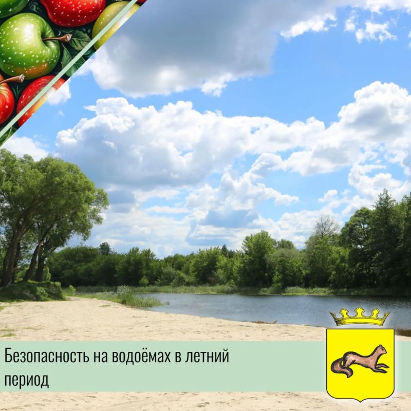 Лето — прекрасная пора для отдыха у воды, но безопасность всегда должна быть на первом месте
