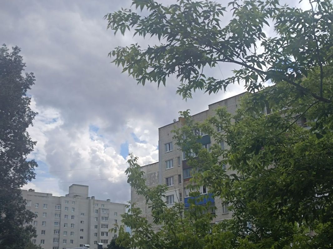 Прохладная погода без осадков ожидает жителей Курской области 17 июля