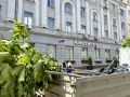 В центре Курска высадили 14 кленов на штамбе