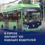 Рулю все возрасты покорны: 100 профессионалов для Курска