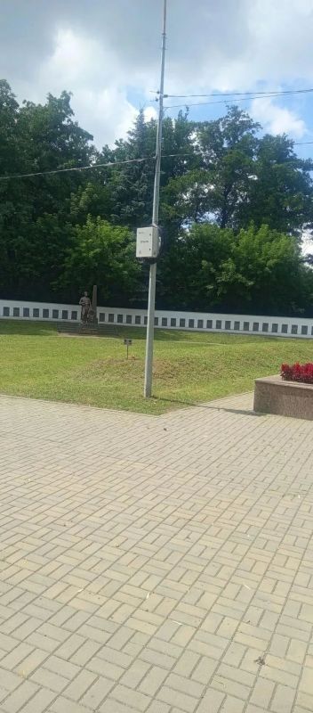 За неделю на территориях городских общественных пространств покошено более 12 га травы За неделю на территориях городских общественных пространств покошено более 12 га травы