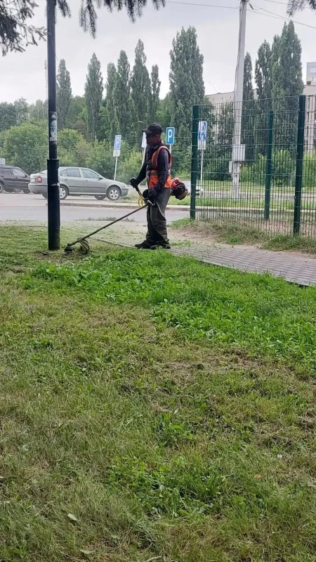В Курске за неделю покосили более 12 га травы В Курске за неделю покосили более 12 га травы