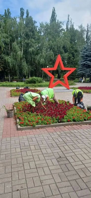 В Курске ежедневно проводятся мероприятия по озеленению В Курске ежедневно проводятся мероприятия по озеленению