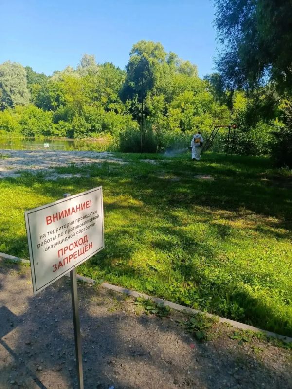 В Курске 8 пляжей второй раз обработали от клещей В Курске 8 пляжей второй раз обработали от клещей