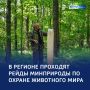 Охрана природы — в действии