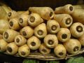 Пастернак: забытый корнеплод с ярким вкусом и полезными свойствами