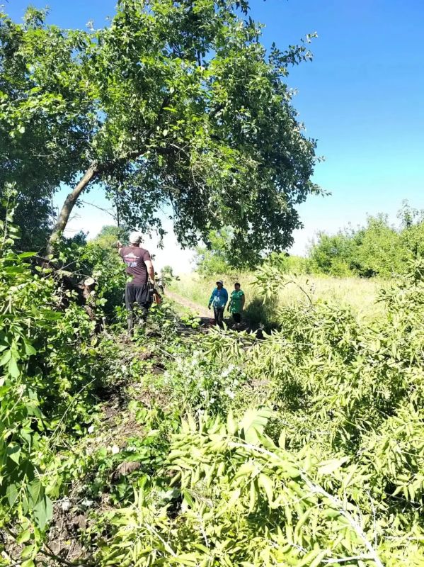 Сегодня в деревне 1-е Скородное было по-особенному шумно и дружно Сегодня в деревне 1-е Скородное было по-особенному шумно и дружно