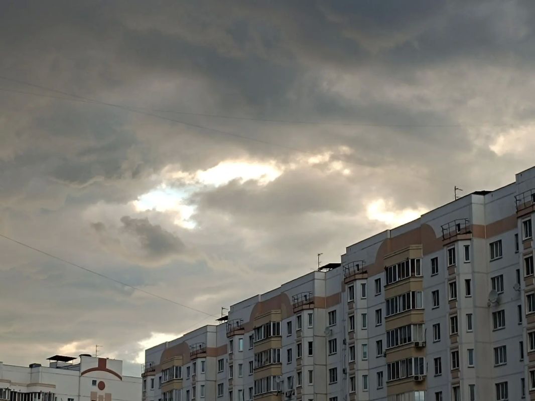 До +28 градусов и ночной туман ожидают жителей Курской области 19 июля