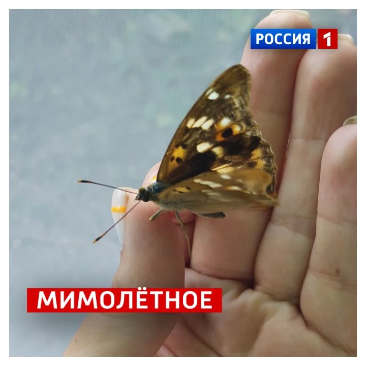 18 июля, суббота. Сегодня День счастливого человека