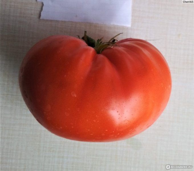 Томат Бабушкин узелок: уникальный сорт с богатым вкусом и выдающимися характеристиками