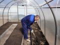 Уход за теплицей после сбора урожая: как подготовить её к новому сезону