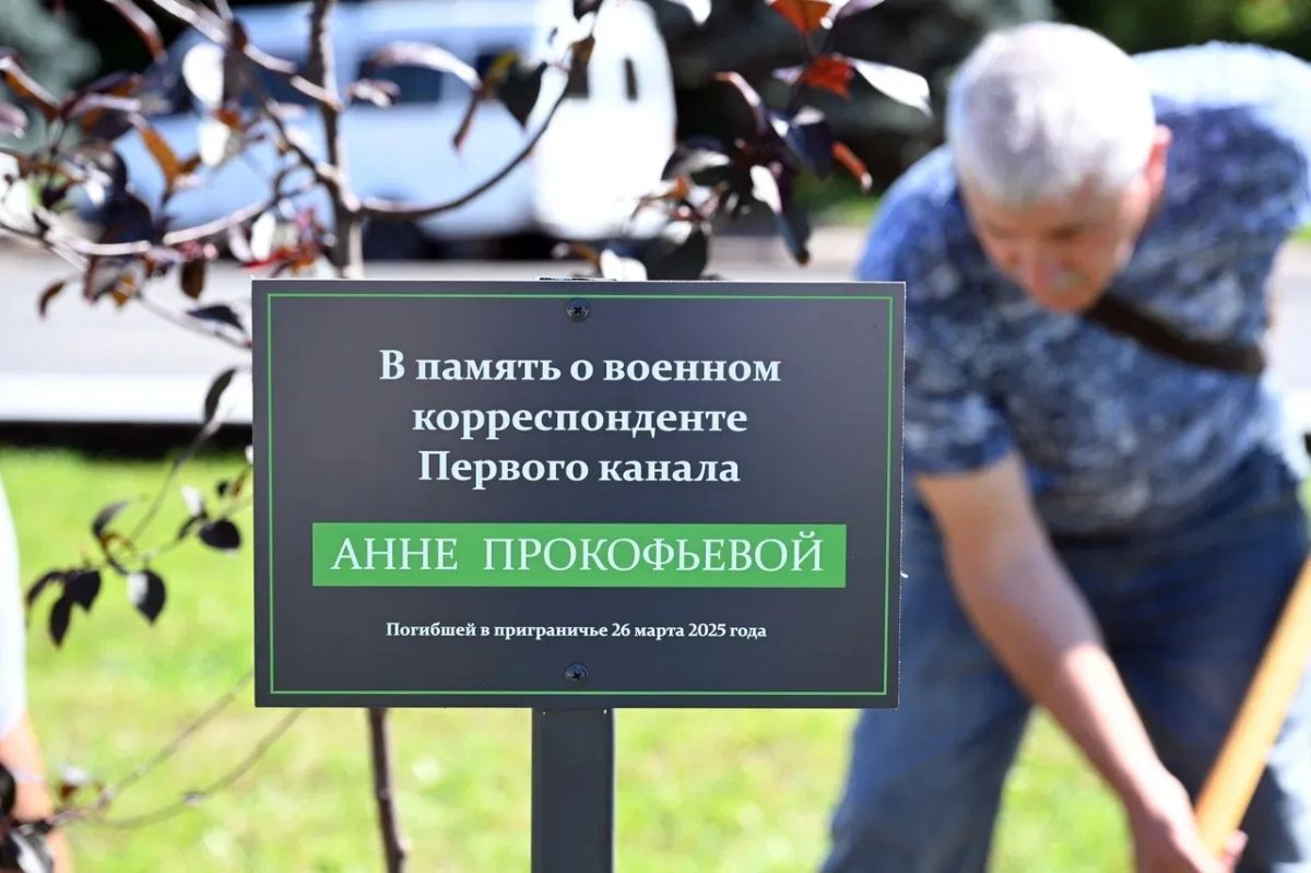 На проспекте Победы в Курске появилась Аллея военкоров На проспекте Победы в Курске появилась Аллея военкоров