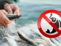 МКУ «Управление по делам ГО и ЧС г. Курчатова» напоминает о действующем решении оперативного штаба от 24.08.2025г. № 31, согласно которому в связи с действием на территории Курской области режима КТО ограничена активность в...