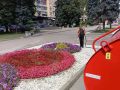 В Курске продолжаются работы по уходу за зелёными насаждениями: полив цветников и деревьев, внесение минеральных удобрений, обработка от вредителей и болезней