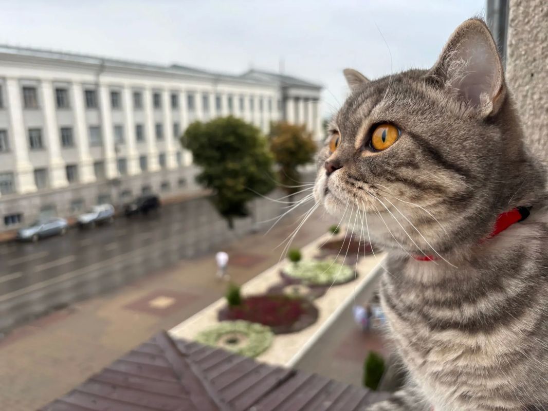Курск особенно красив после дождя Курск особенно красив после дождя