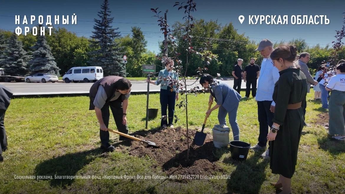 "Там меня ждут мои ребята. Я не могу о них не рассказывать: им тяжело, и я хочу, чтоб люди знали об их подвигах", – вспоминает слова погибшей Анны Прокофьевой её коллега, представитель НФ, военкор Первого канала Амир Юсупов "Там меня ждут мои ребята. Я не могу о них не рассказывать: им тяжело, и я хочу, чтоб люди знали об их подвигах", – вспоминает слова погибшей Анны Прокофьевой её коллега, представитель НФ, военкор Первого канала Амир Юсупов