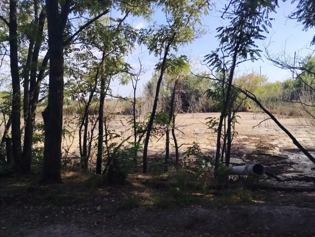 В Обояни после жалоб остановили прием отходов из Белгородской области В Обояни после жалоб остановили прием отходов из Белгородской области