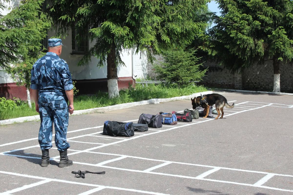 УФСИН России по Курской области присоединился к «Хвостатому флешмобу»