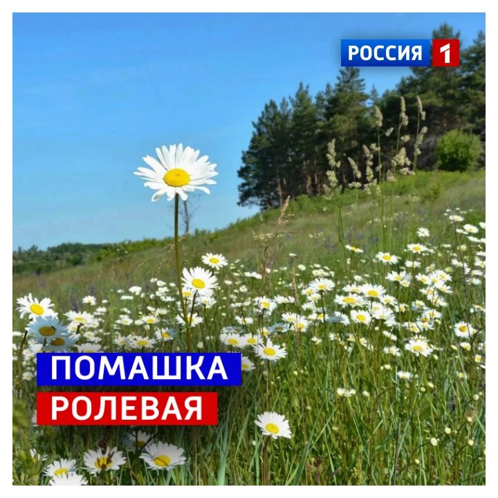 22 июля, среда. Сегодня День спунеризма