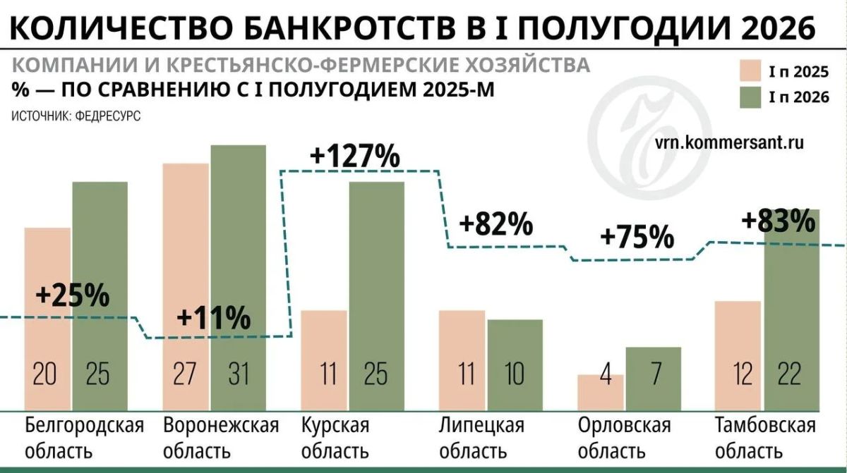 Без должной осмотрительности: в Черноземье в первом полугодии выросло число корпоративных банкротств