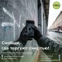 ��������� � ��� ������ ������ �������� � �����