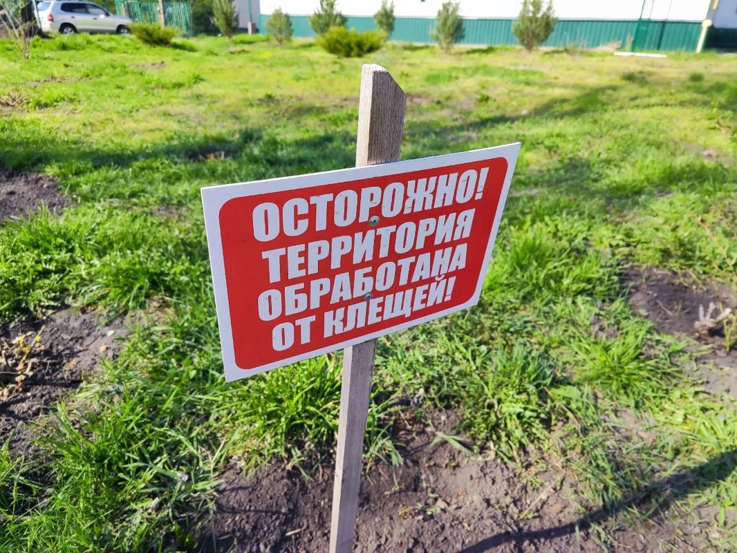 В Курской области снизилось число укусов клещей