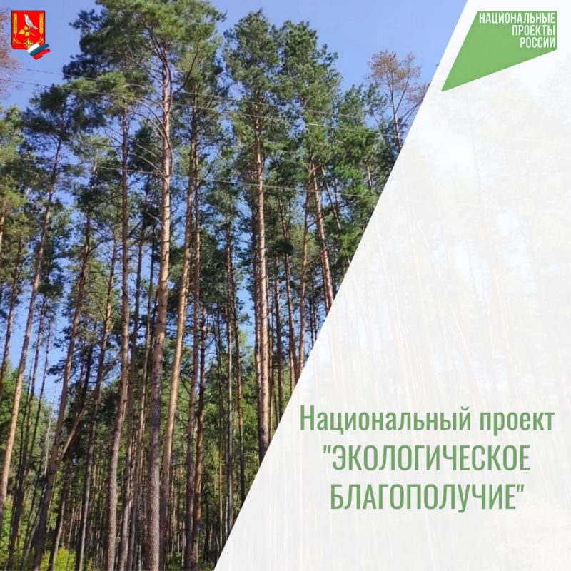 В отпуск и выходные в хорошую погоду многие любят провести время возле костра – дома или на природе