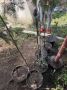 Таинственное исчезновение сирени из сквера «Спутник» в Курске раскрыто